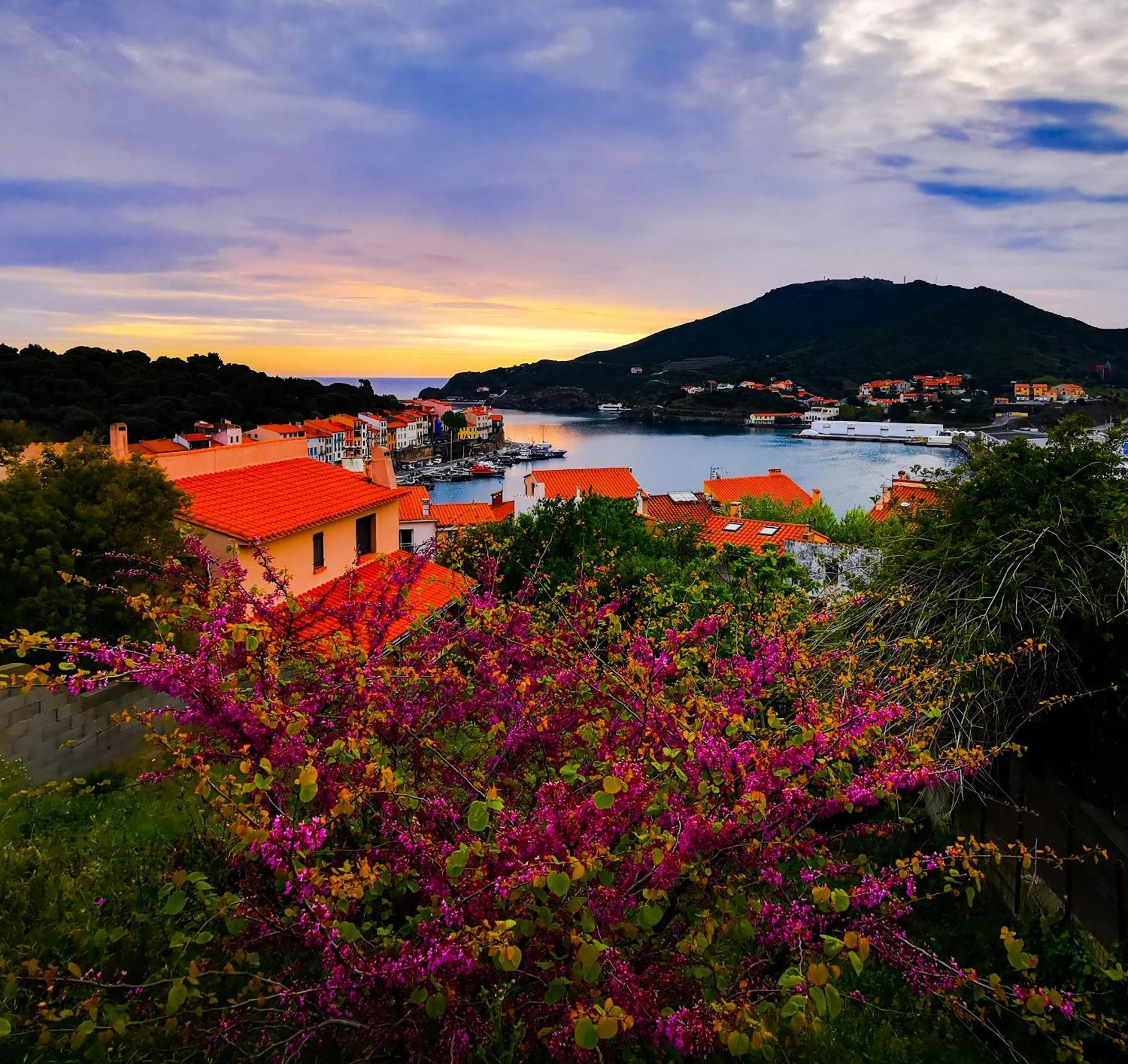 1Br Apartment T2 54M2 Onde Marine 2Nd Floor Lift Wifi Ac Parking Port Vendres Εξωτερικό φωτογραφία